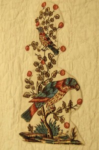 image of John Hewson Birds